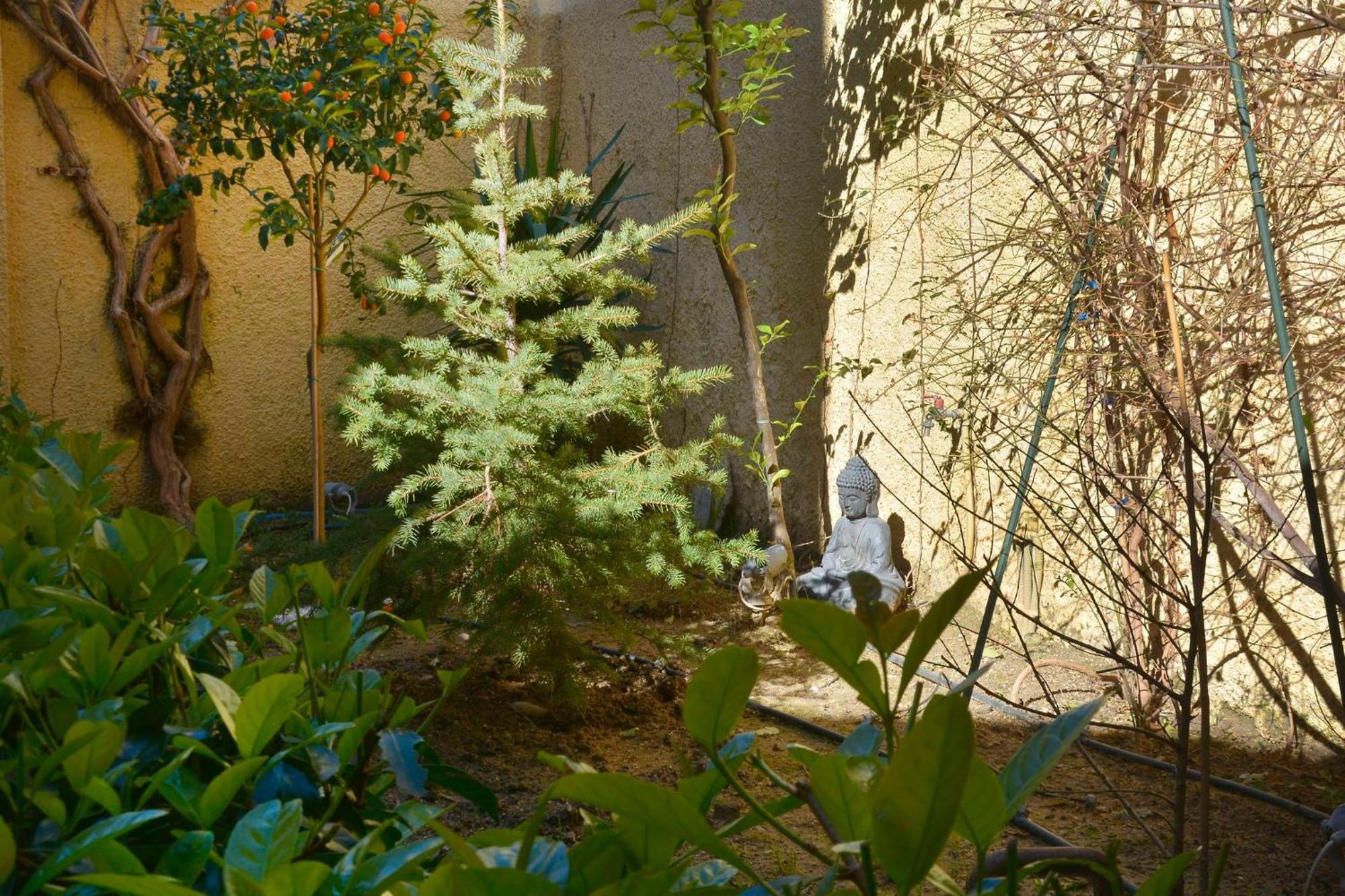 Апартаменты Τhe Hidden Garden Corfu  Экстерьер фото