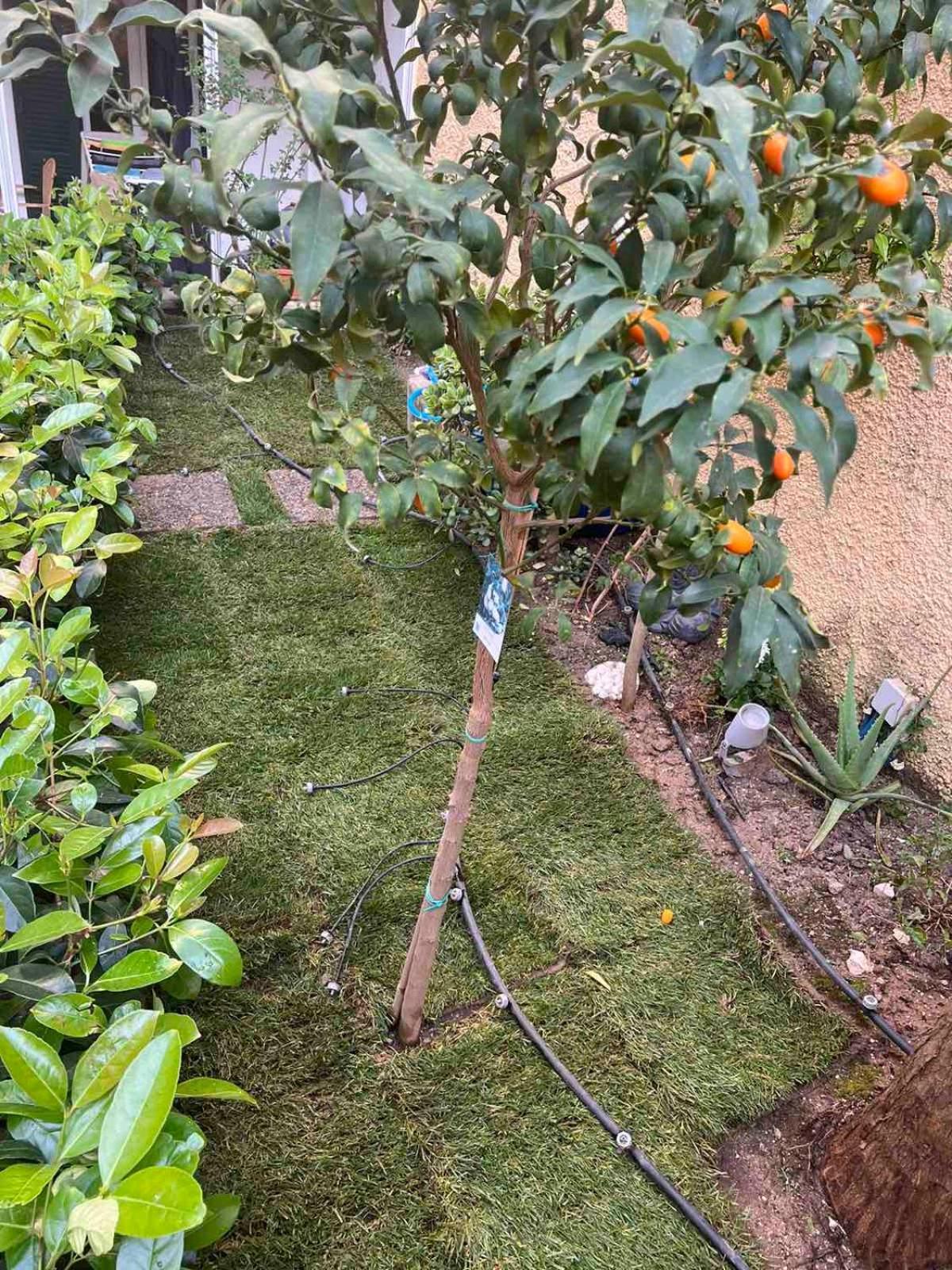 Апартаменты Τhe Hidden Garden Corfu  Экстерьер фото