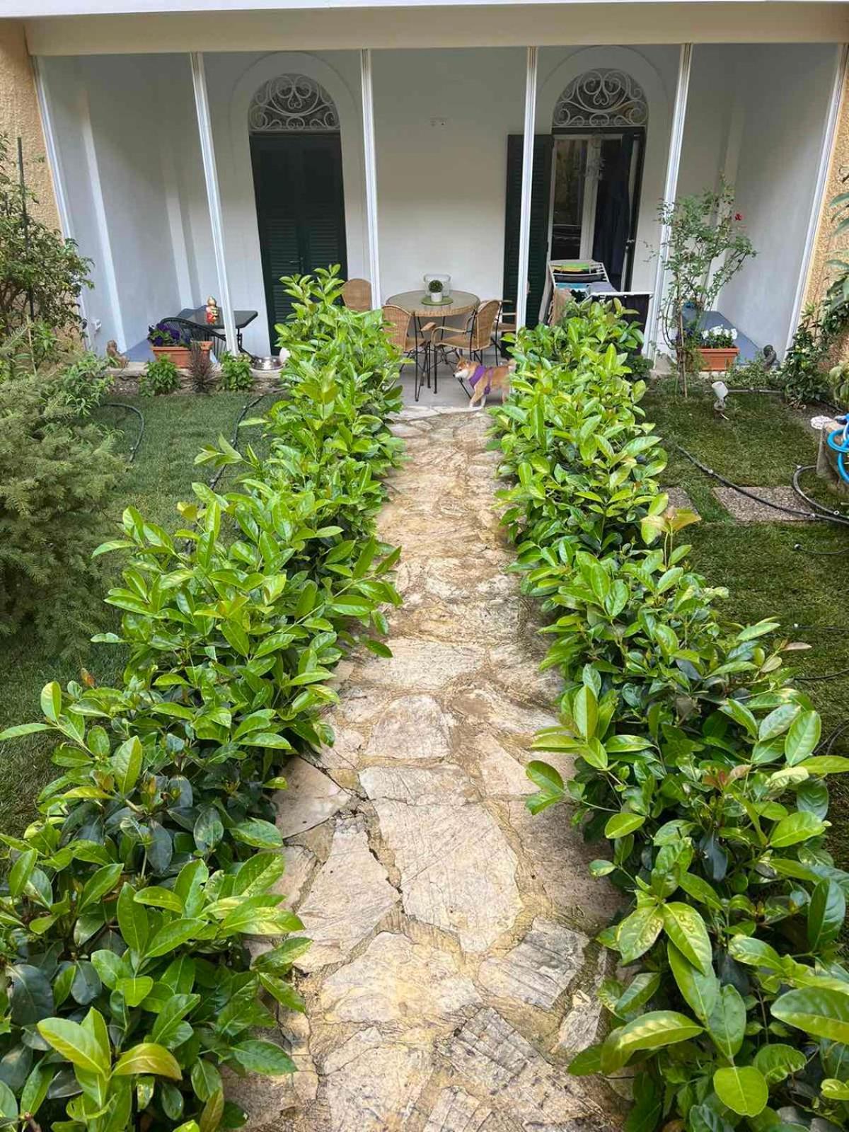 Апартаменты Τhe Hidden Garden Corfu  Экстерьер фото